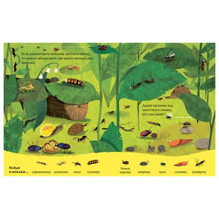Книга Clever Найди и покажи животных в лесу