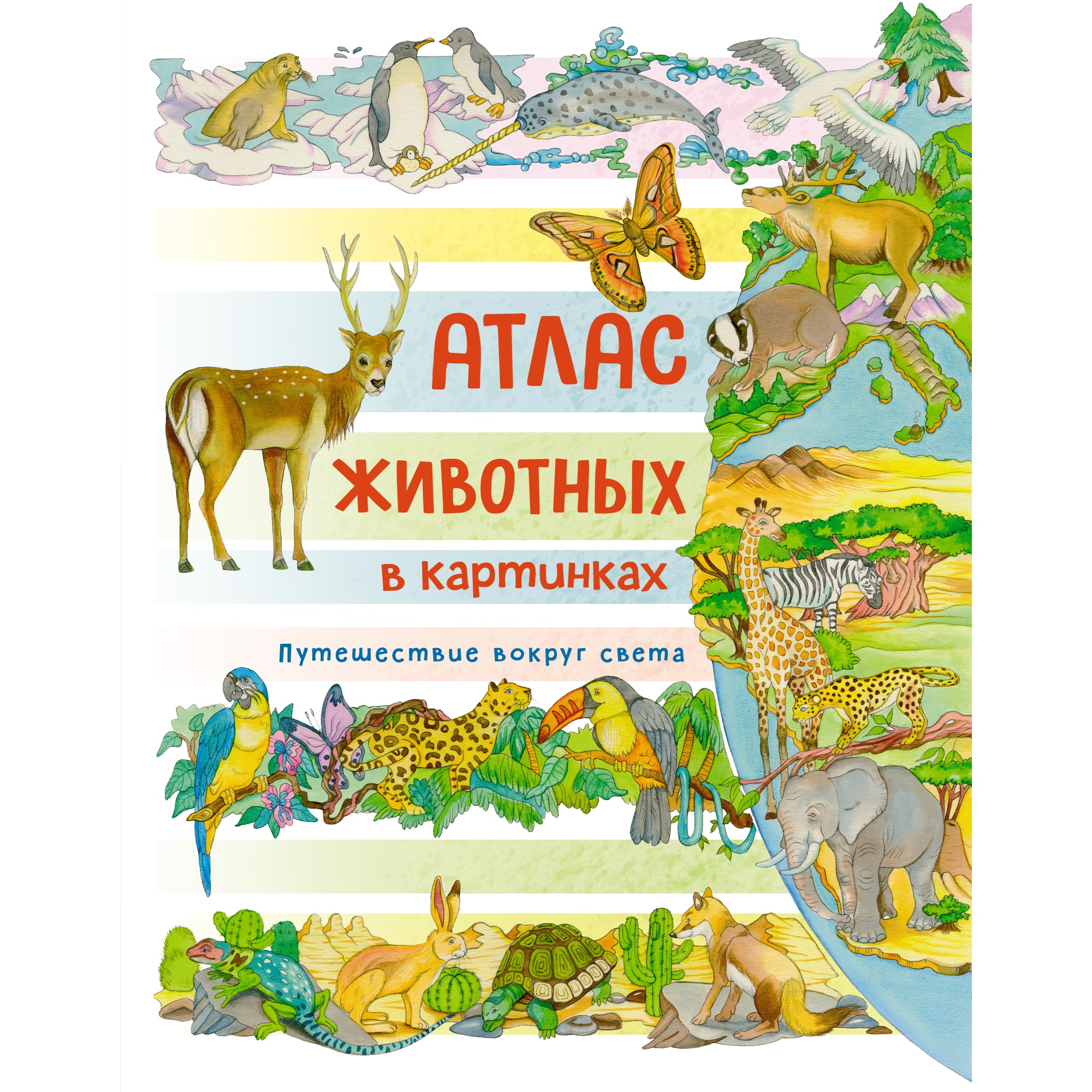 Книга Махаон Атлас животных в картинках. Путешествие вокруг света Барсотти Э. Энциклопедии - фото 1