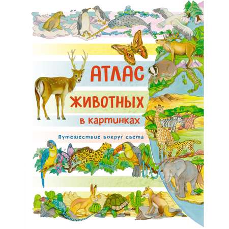 Книга Махаон Атлас животных в картинках. Путешествие вокруг света Барсотти Э. Энциклопедии