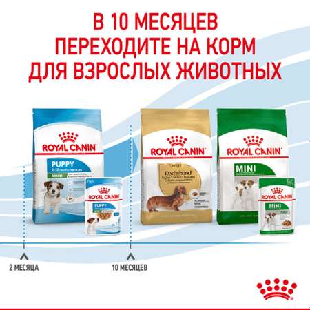 Корм для щенков ROYAL CANIN Mini Puppy мелких пород до 10 месяцев кусочки в соусе пауч 85г