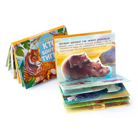 Набор книг Malamalama Коллекция карманных объемных энциклопедий о животных в сундучке