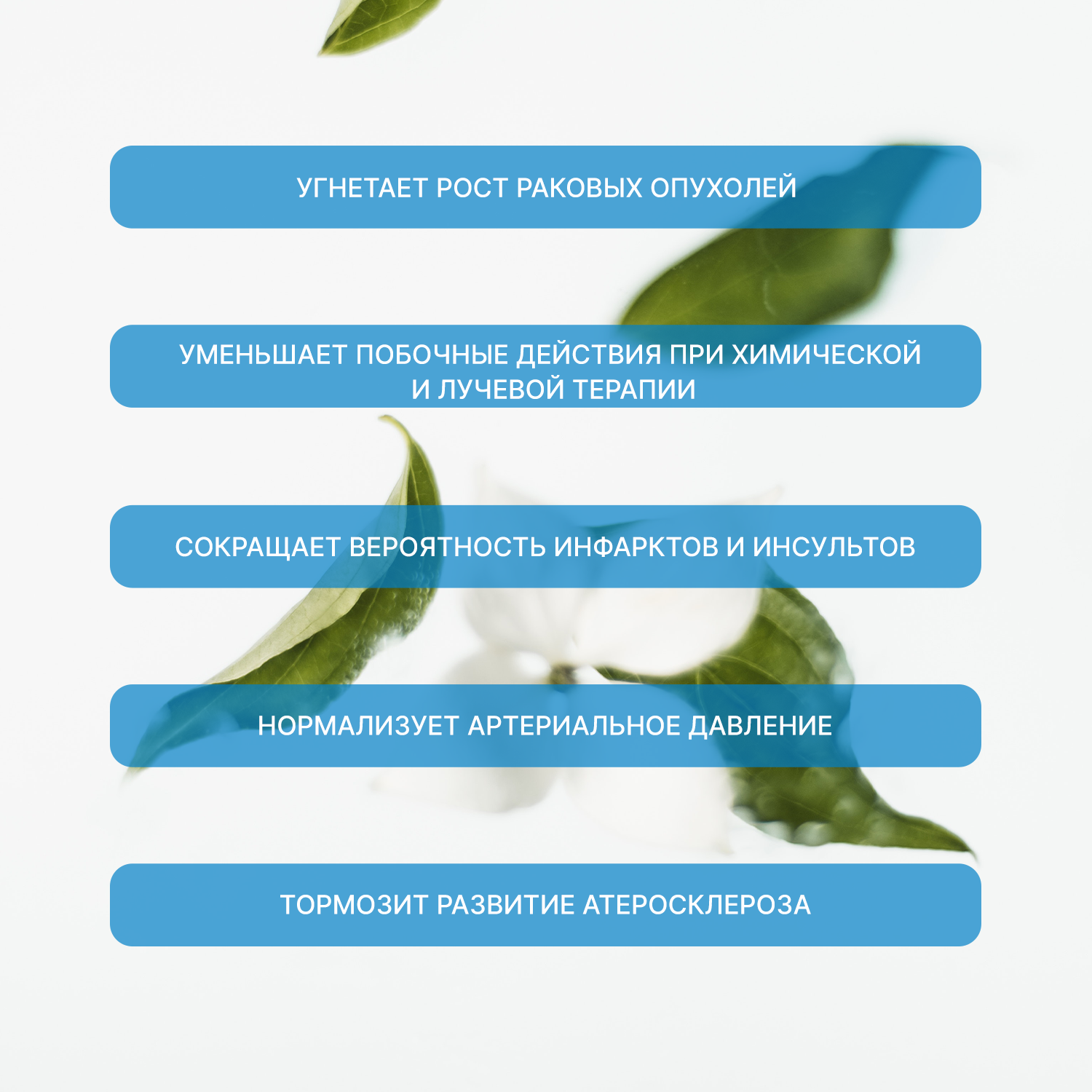 Набор Green Leaf Formula Масло печени акулы с метабиотиками и Куркумин с пиперином антиоксиданты 90 капсул - фото 6