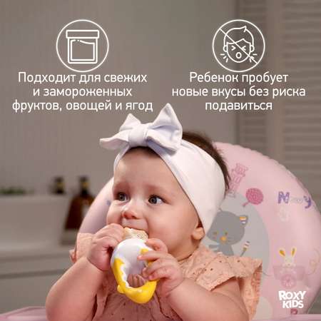 Ниблер для прикорма ROXY-KIDS детский с нейлоновой сеточкой