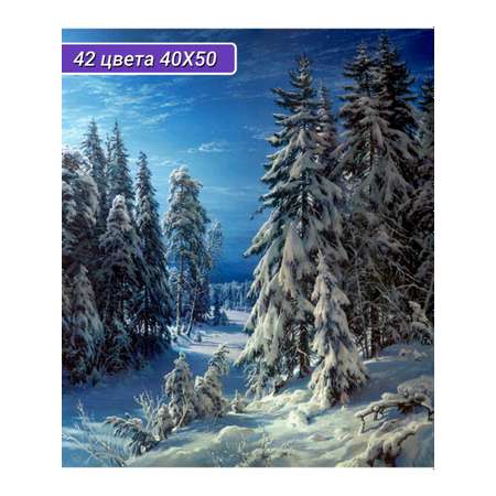 Алмазная мозаика Cristyle картина стразами Зимняя ночь 50х40 см Cr 450059