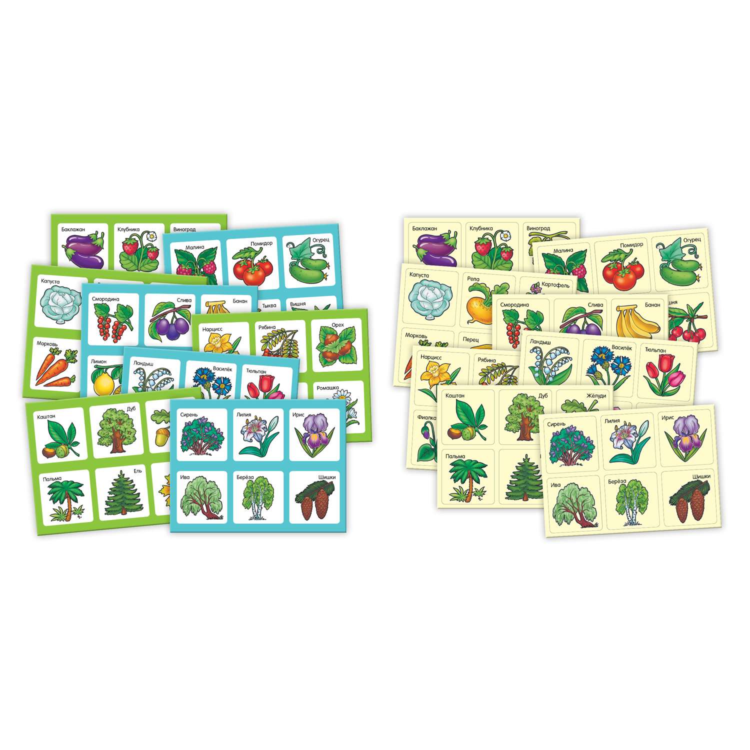 Игра развивающая Hatber Развивающее лото для детей-Растения овощи и фрукты - фото 2