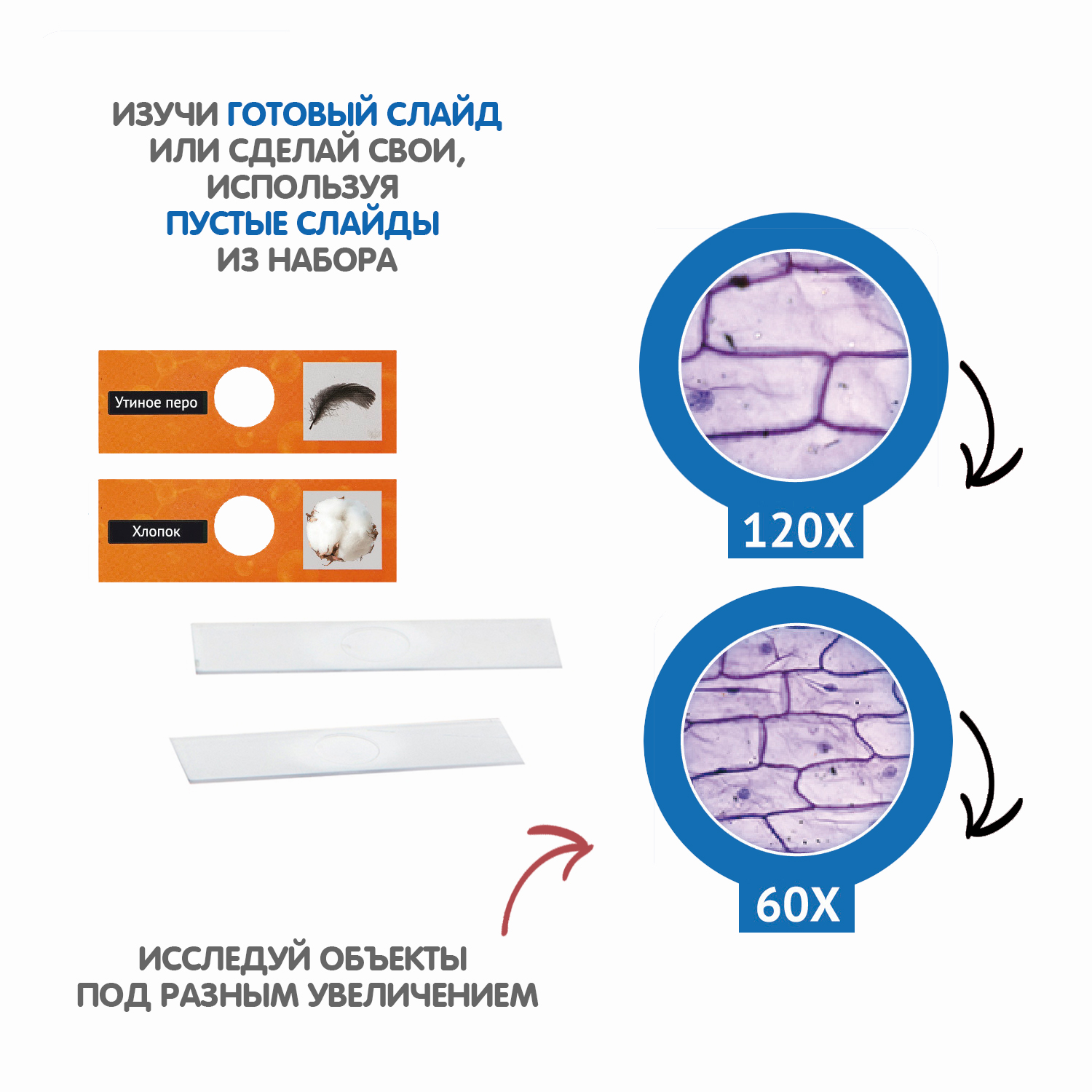 Набор для опытов BONDIBON Микроскоп портативный 3 в 1 - фото 8