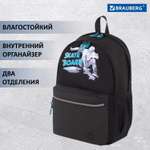 Рюкзак Brauberg Fashion city универсальный Skateboard