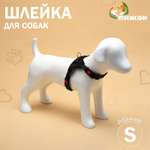 Шлейка Пижон мягкая со светоотражающими элементами размер S (ОШ 29-31 см ОГ 37-45 см) чёрная