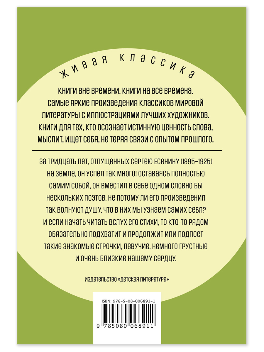 Книга Детская литература Есенин. В этом мире я только прохожий - фото 14