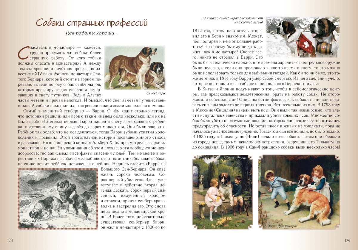 Книга Белый город Кошки и собаки. Знакомые и неизвестные - фото 11