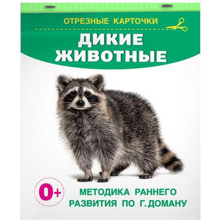 Книга карточки для малышей Дикие животные