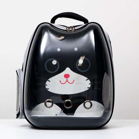 Рюкзак для переноски животных Пижон «Котик» прозрачный чёрный