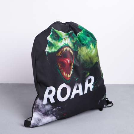 Сумка для обуви ArtFox «ROAR!». 41х31 см