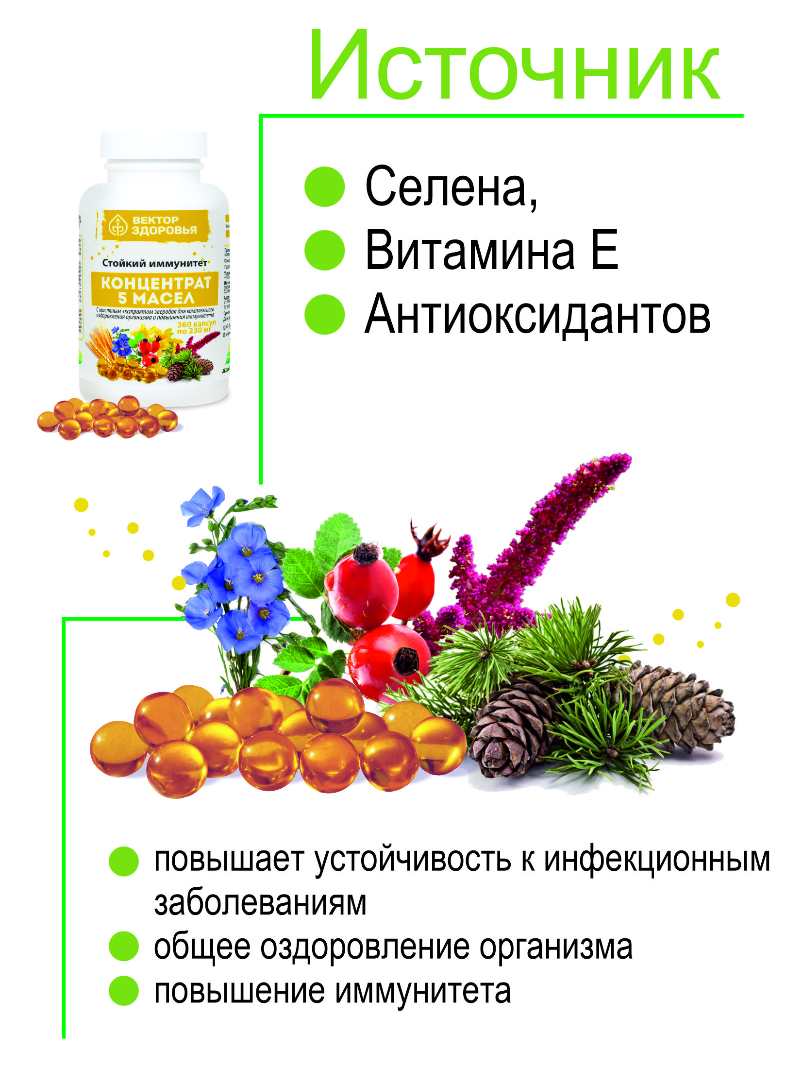 Комплекс масел Алтайские традиции Стойкий иммунитет 360 капсул - фото 5