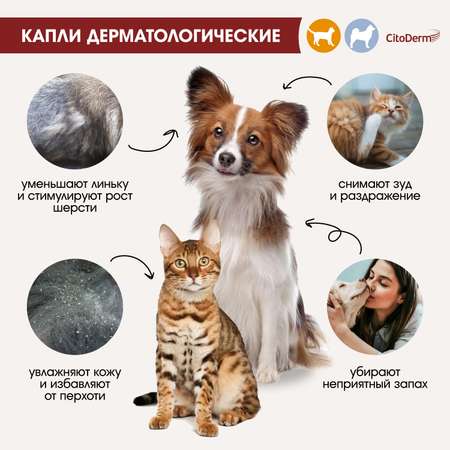 Капли для кошек и собак CitoDerm до 10кг дерматологические 1мл