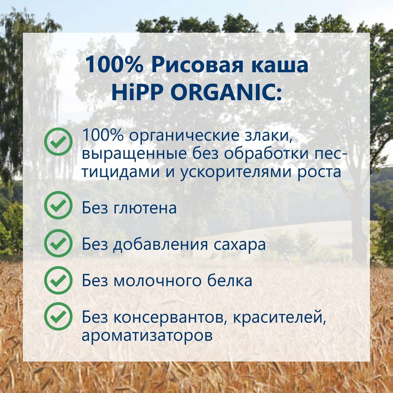 Каша безмолочная Hipp органическая зерновая рисовая 200г с 4месяцев - фото 2