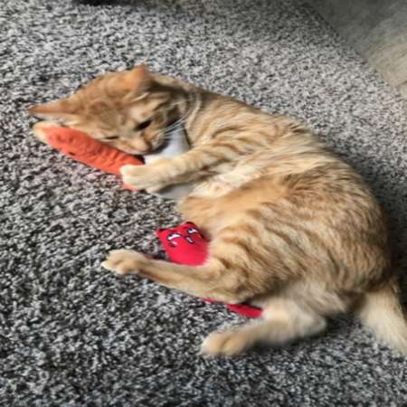 Игрушки для кошек ZDK с кошачьей мятой Набор 3шт оранжевый серый красный ZooWell