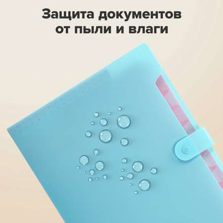 Папка-органайзер Brauberg А4