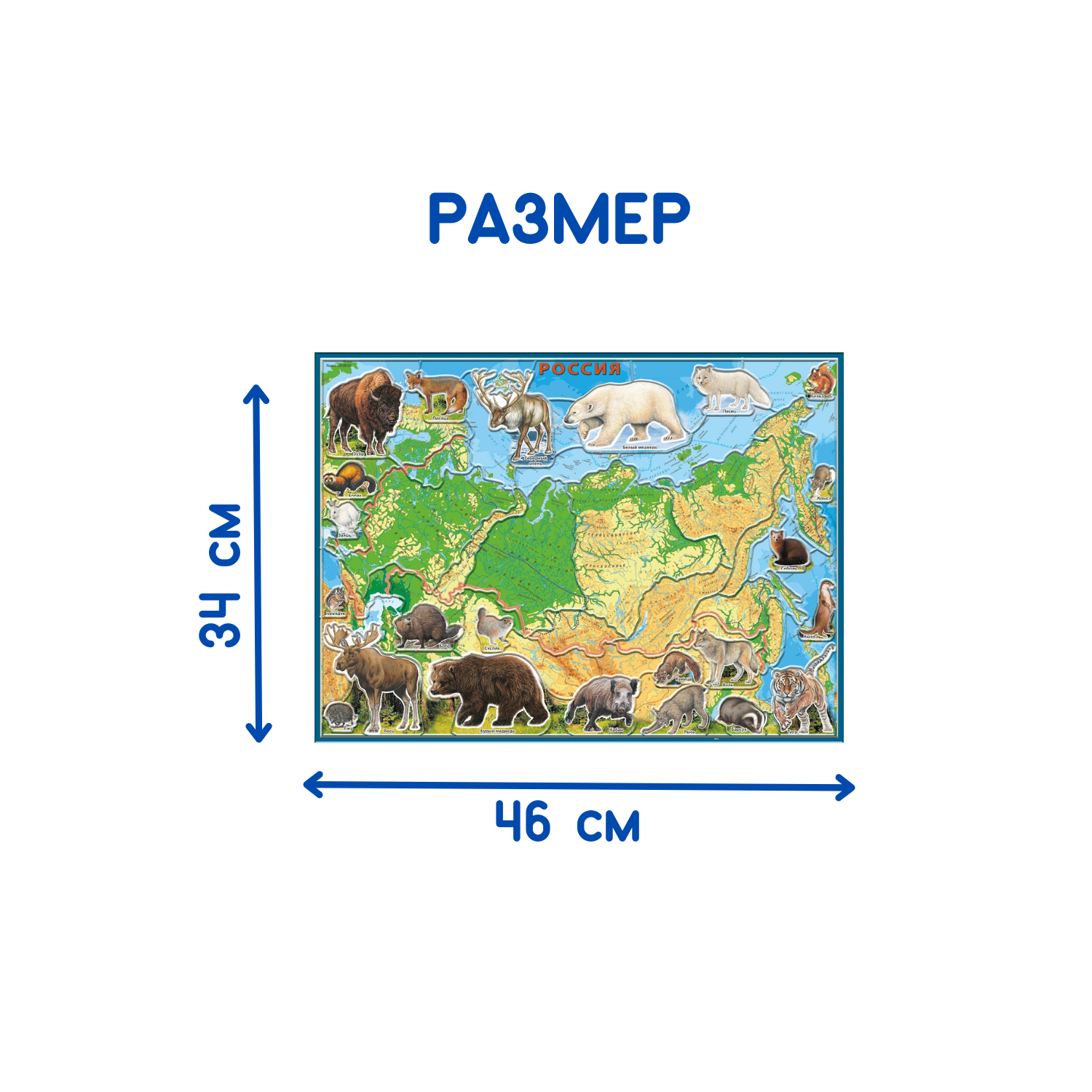 Карта-пазл георафический АГТ Геоцентр Животные и Природные Зоны России 67 деталей 34х46 см - фото 9