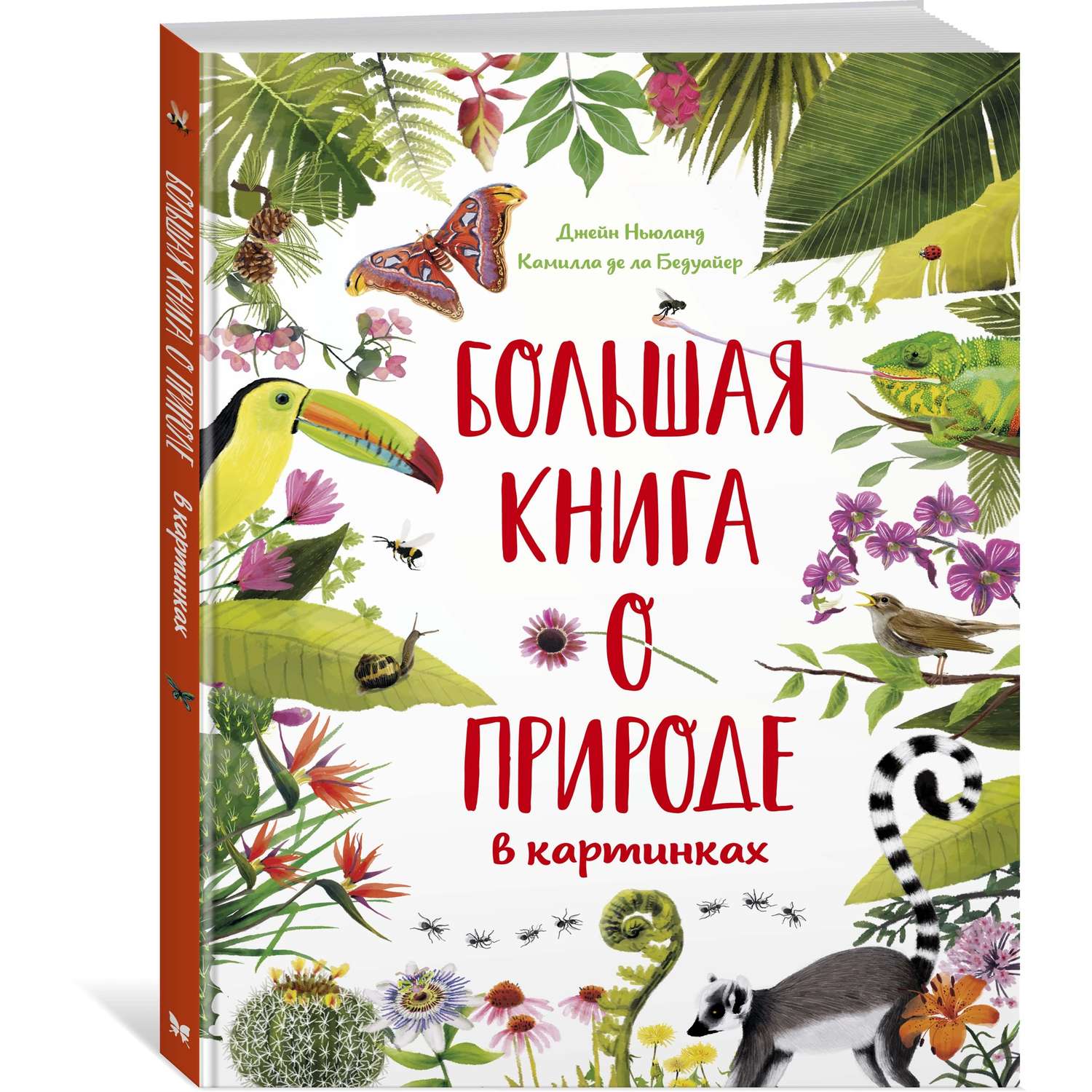 Книга МАХАОН Большая книга о природе в картинках Бедуайер К. де ла - фото 2