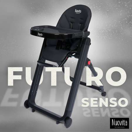 Детский стульчик для кормления Nuovita Futuro Senso Nero черный