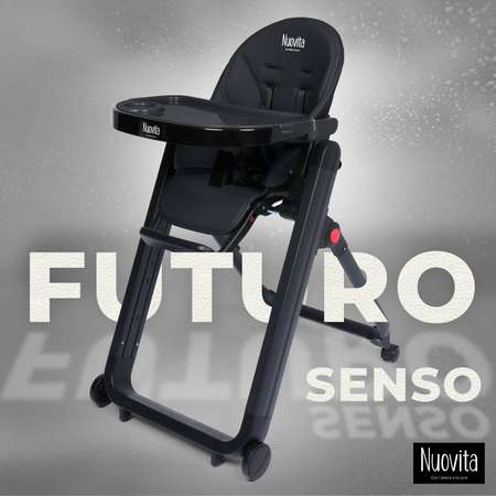 Стульчик для кормления Nuovita Futuro Senso Nero классический