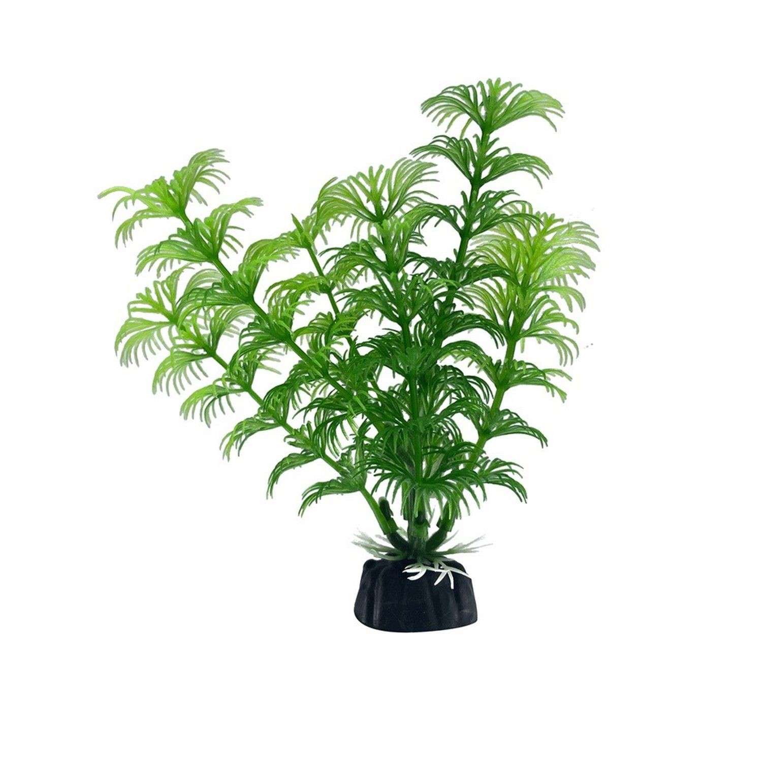 Аквариумное растение Rabizy водоросли 3х13 см - фото 2