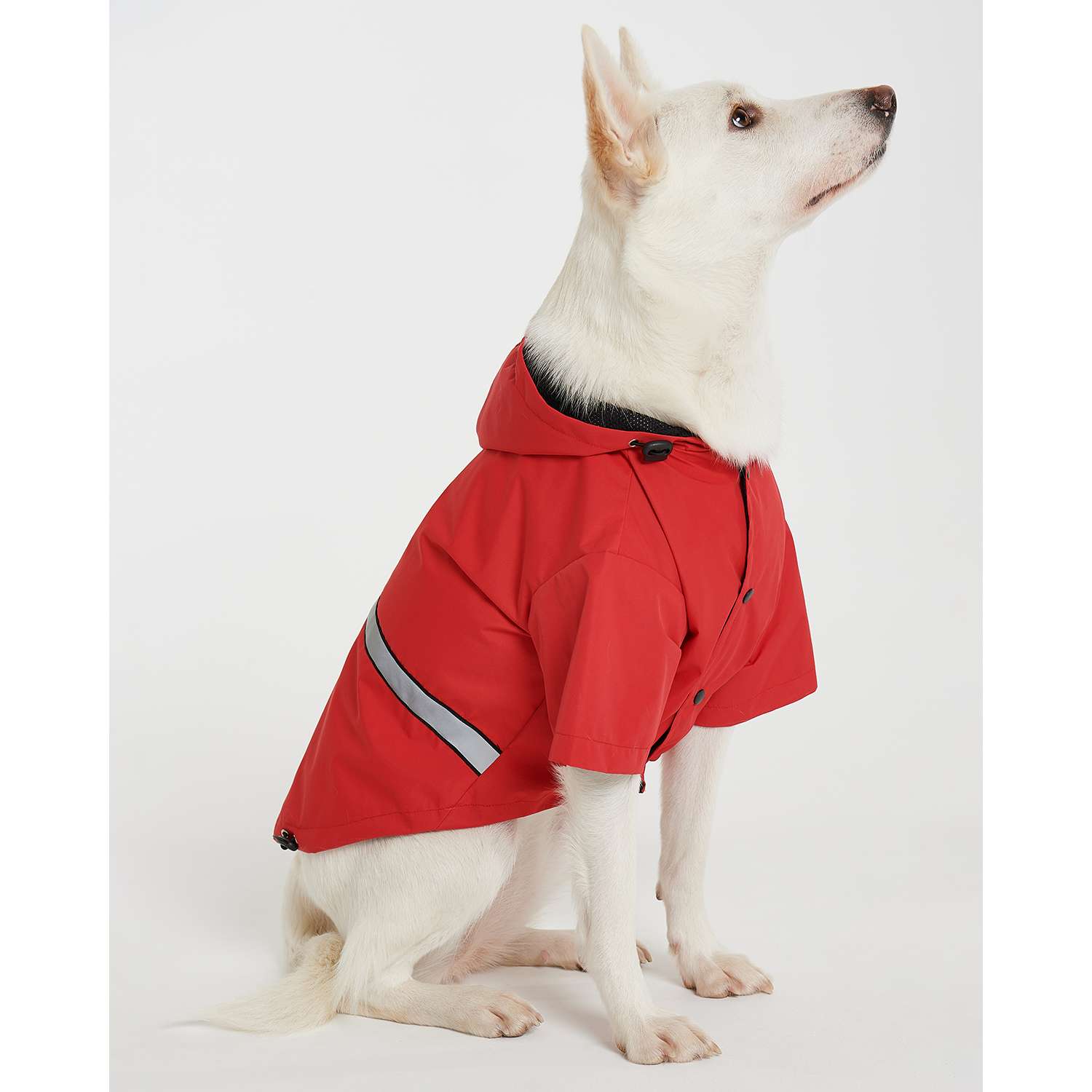 Дождевик-куртка для собак Зоозавр красная 55 - фото 8