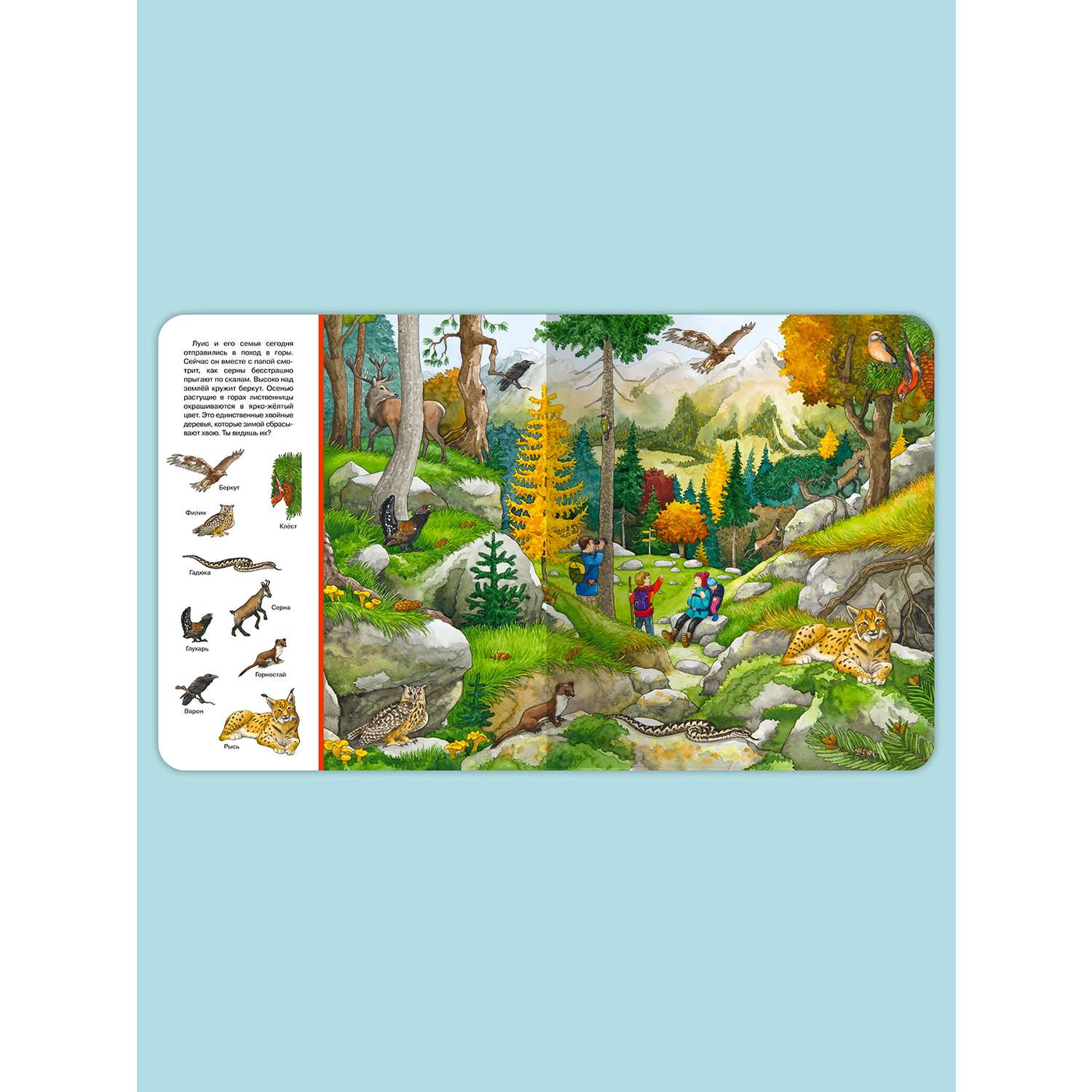 Книга Омега-Пресс Виммельбух Найди и покажи В лесу - фото 9