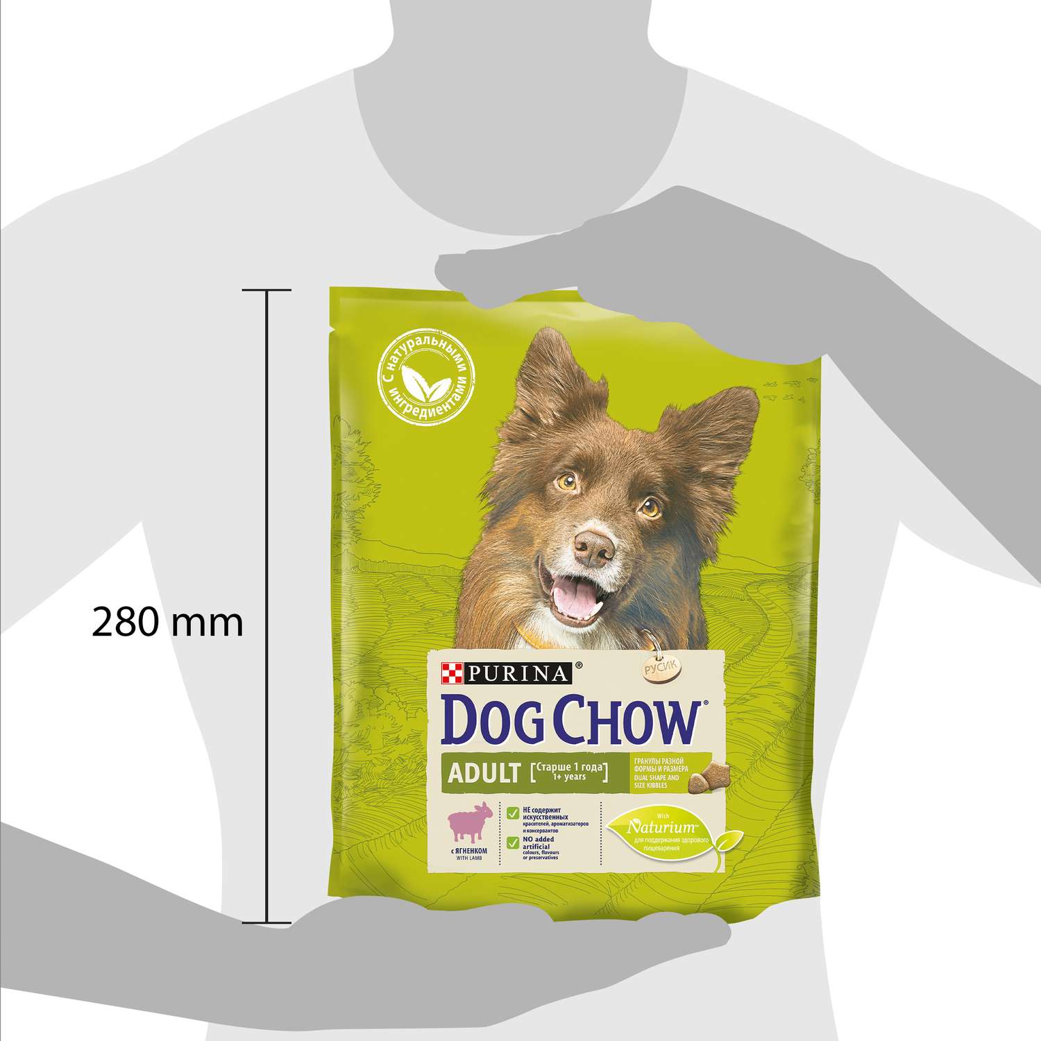Корм для собак Dog Chow с ягненком 800г 60048 - фото 3