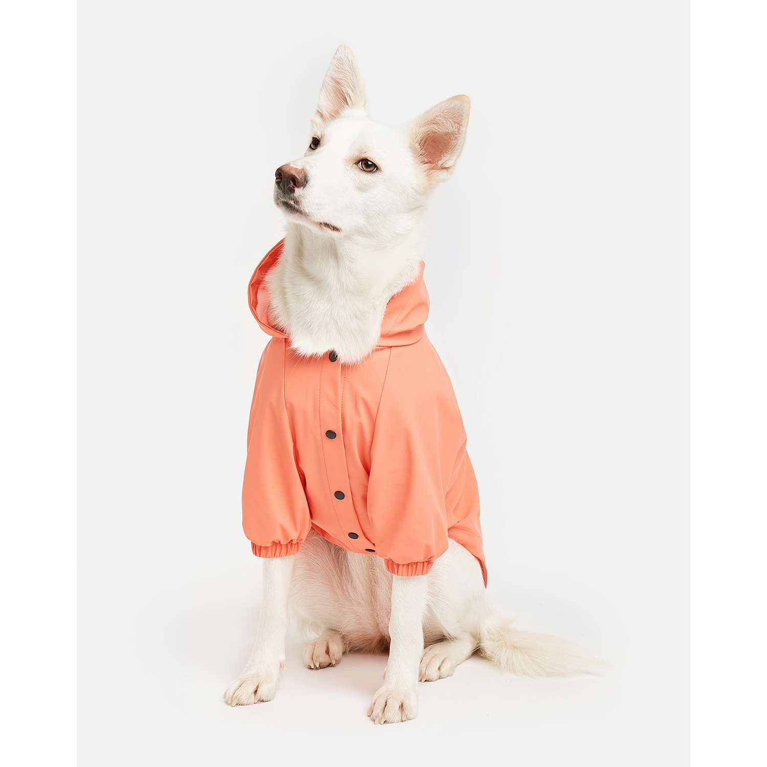 Куртка-дождевик для собак Zoozavr розовый 55 - фото 7