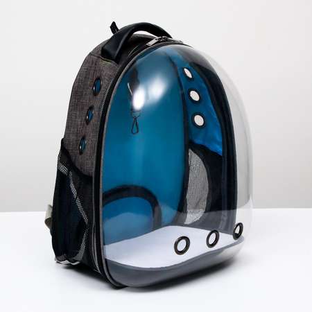 Рюкзак для переноски животных Пижон прозрачный голубой
