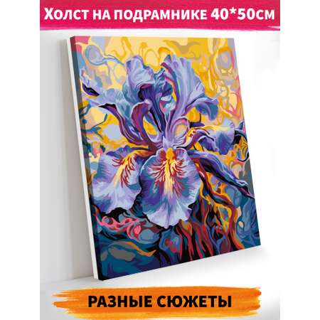 Картина по номерам Hobby Paint холст на подрамнике 40х50 см Изысканный цветок