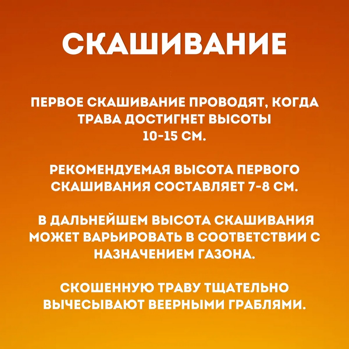 Семена газонных трав АгроСидсТрейд Лео и Тиг травосмесь универсальная зеленая лужайка 5 кг - фото 8