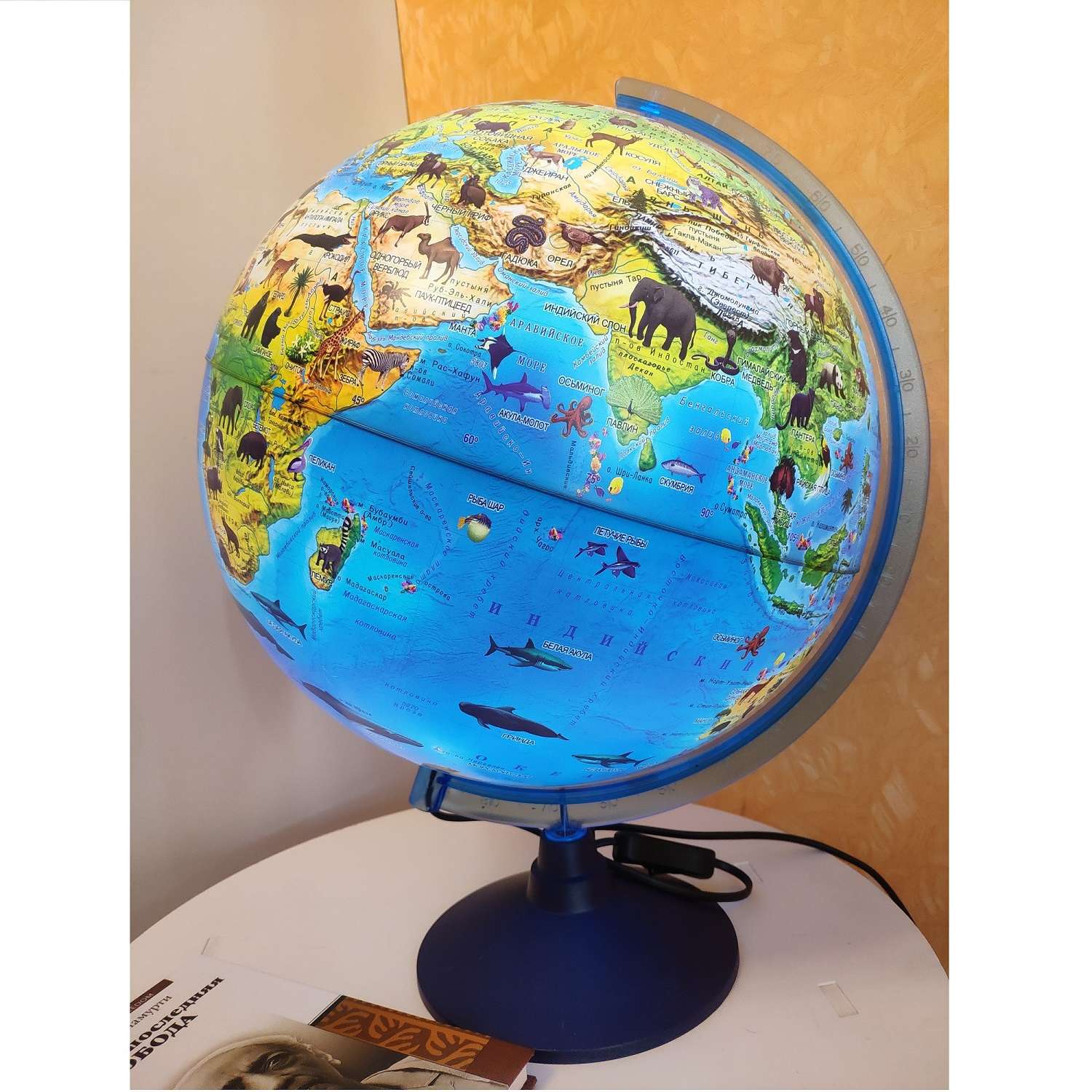 Глобус Globen Зоогеографический детский с LED-подсветкой 25 см - фото 8