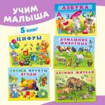 Книги Фламинго Учим малыша: буквы цифры животные растения Первые знания для детей и малышей