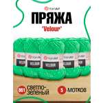 Пряжа для вязания YarnArt Velour 100 г 170 м микрополиэстер мягкая велюровая 5 мотков 861 светло-зеленый