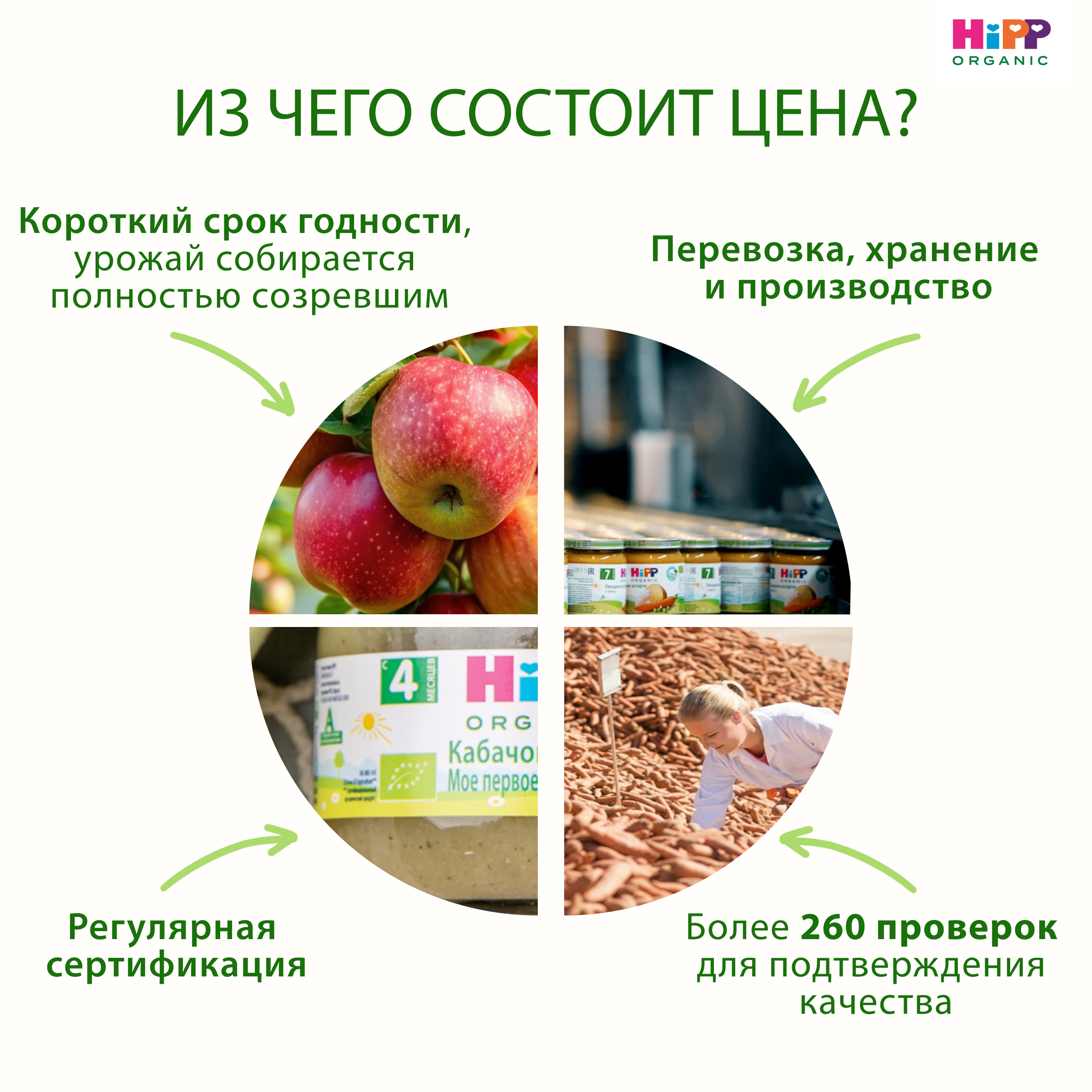 Пюре Hipp цветная капуста 80г с 4месяцев - фото 12