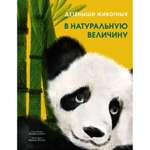 Книга Махаон Детёныши животных в натуральную величину Фогато В