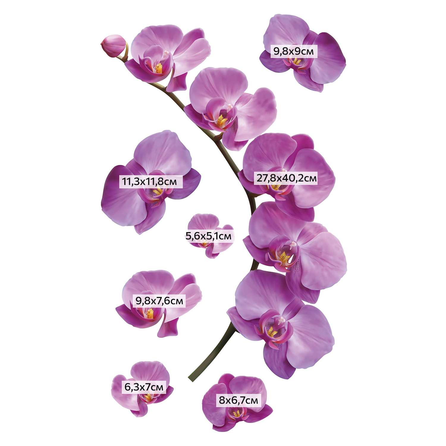 Наклейки многоразовые Divino Decor Декоративные наклейки Веточка орхидеи - фото 2