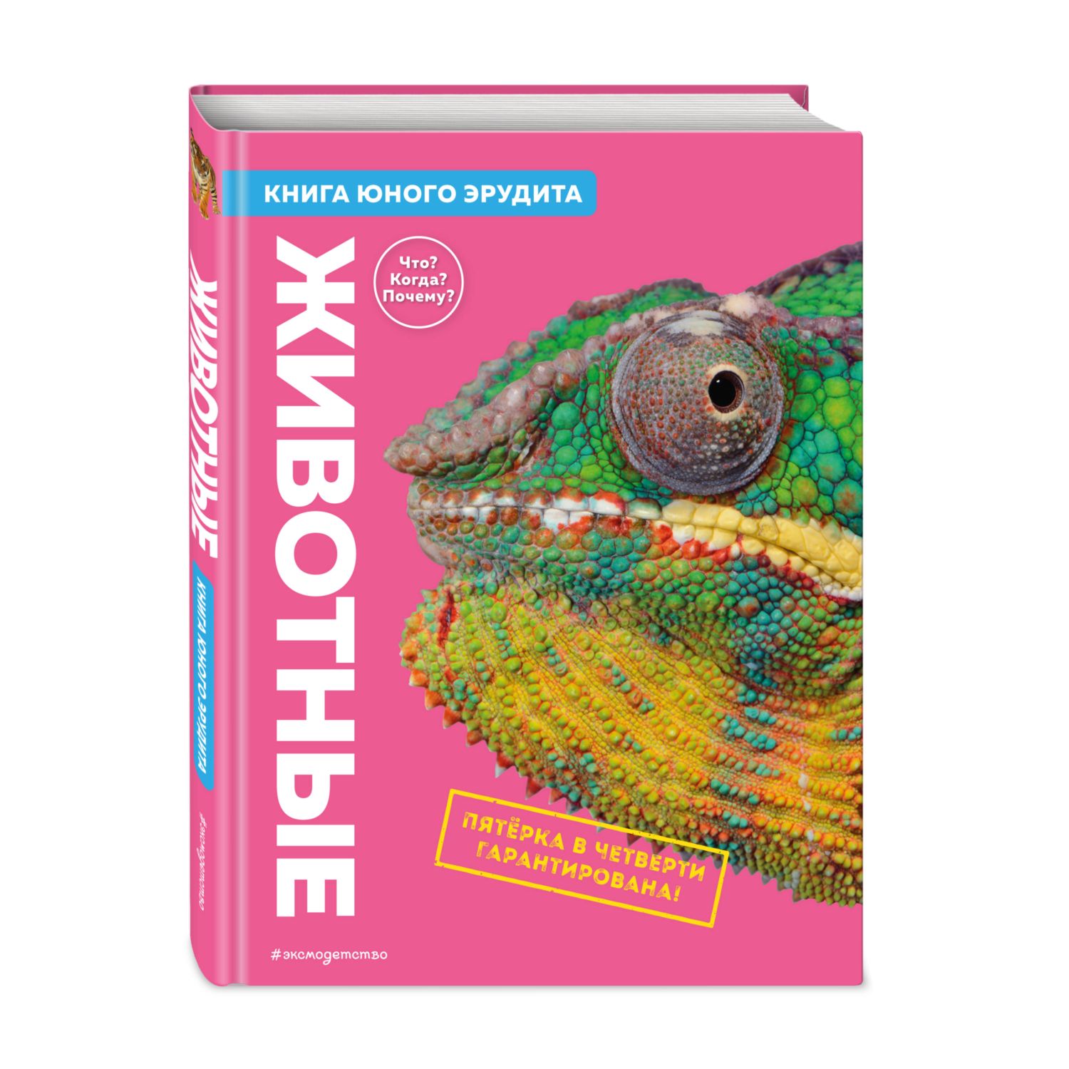 Книга Животные Книга юного эрудита - фото 1