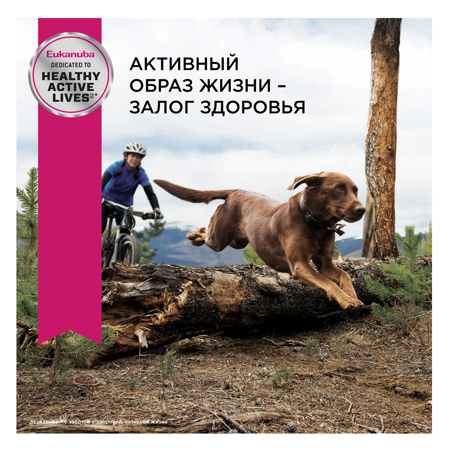 Сухой корм для собак Eukanuba 4 кг птица (для домашних, полнорационный) - фото 10