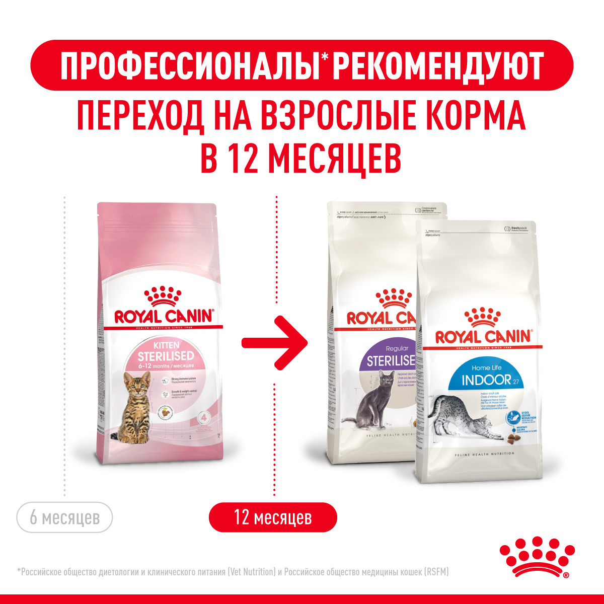 Корм сухой для котят ROYAL CANIN Sterilised 3.5кг стерилизованных - фото 10