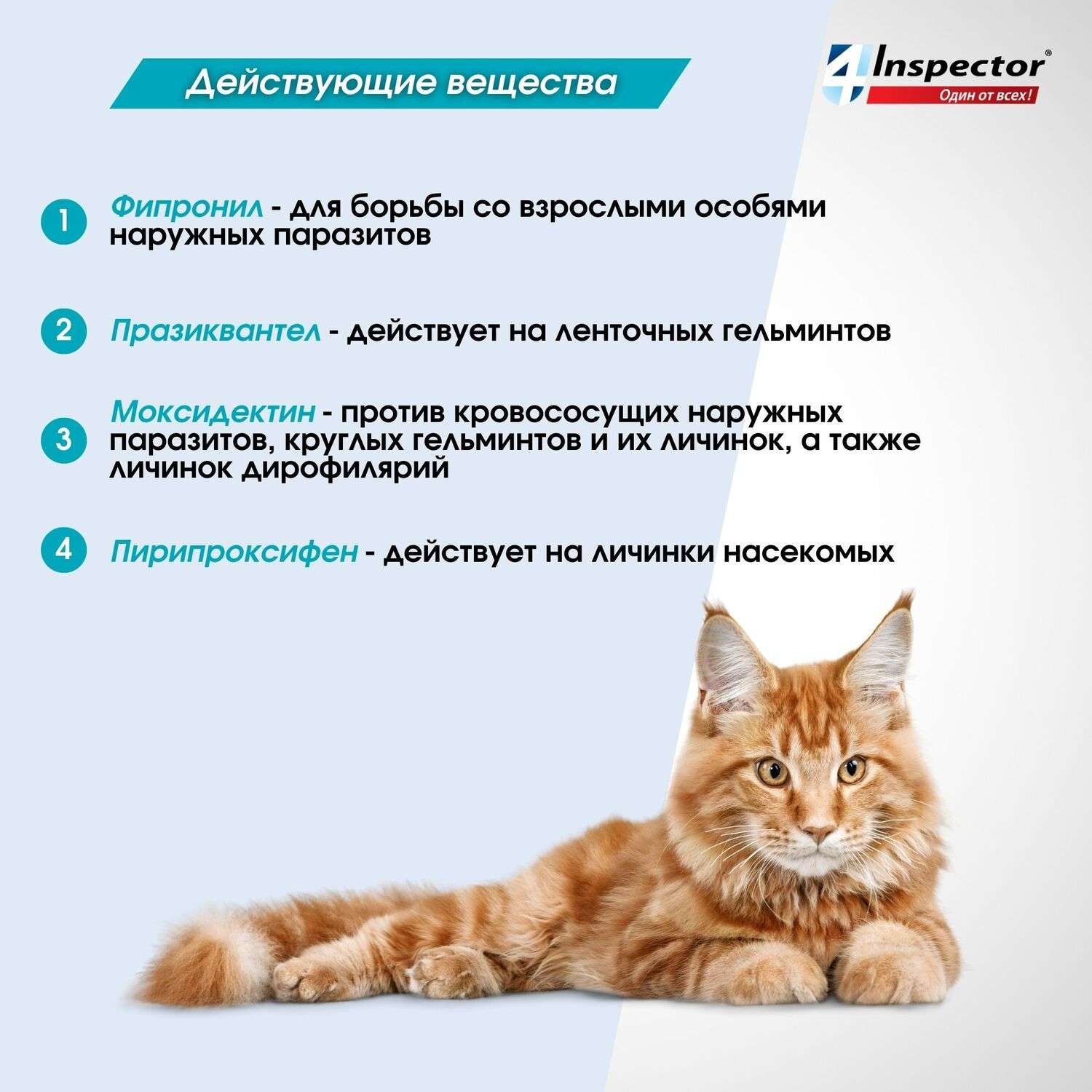 Капли для кошек Inspector Quadro 4-8кг от наружных и внутренних паразитов 0.8мл - фото 5