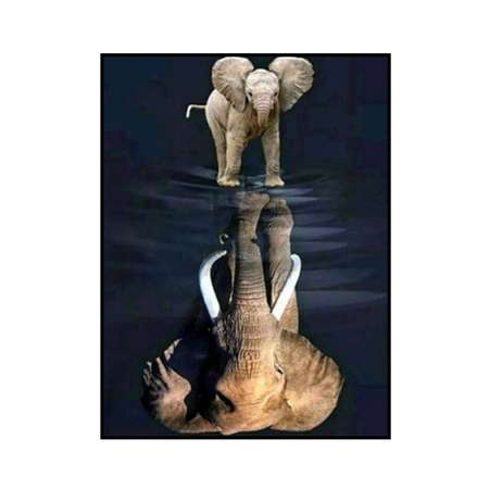 Алмазная мозаика Seichi Слон в отражении слонёнка 15х20 см