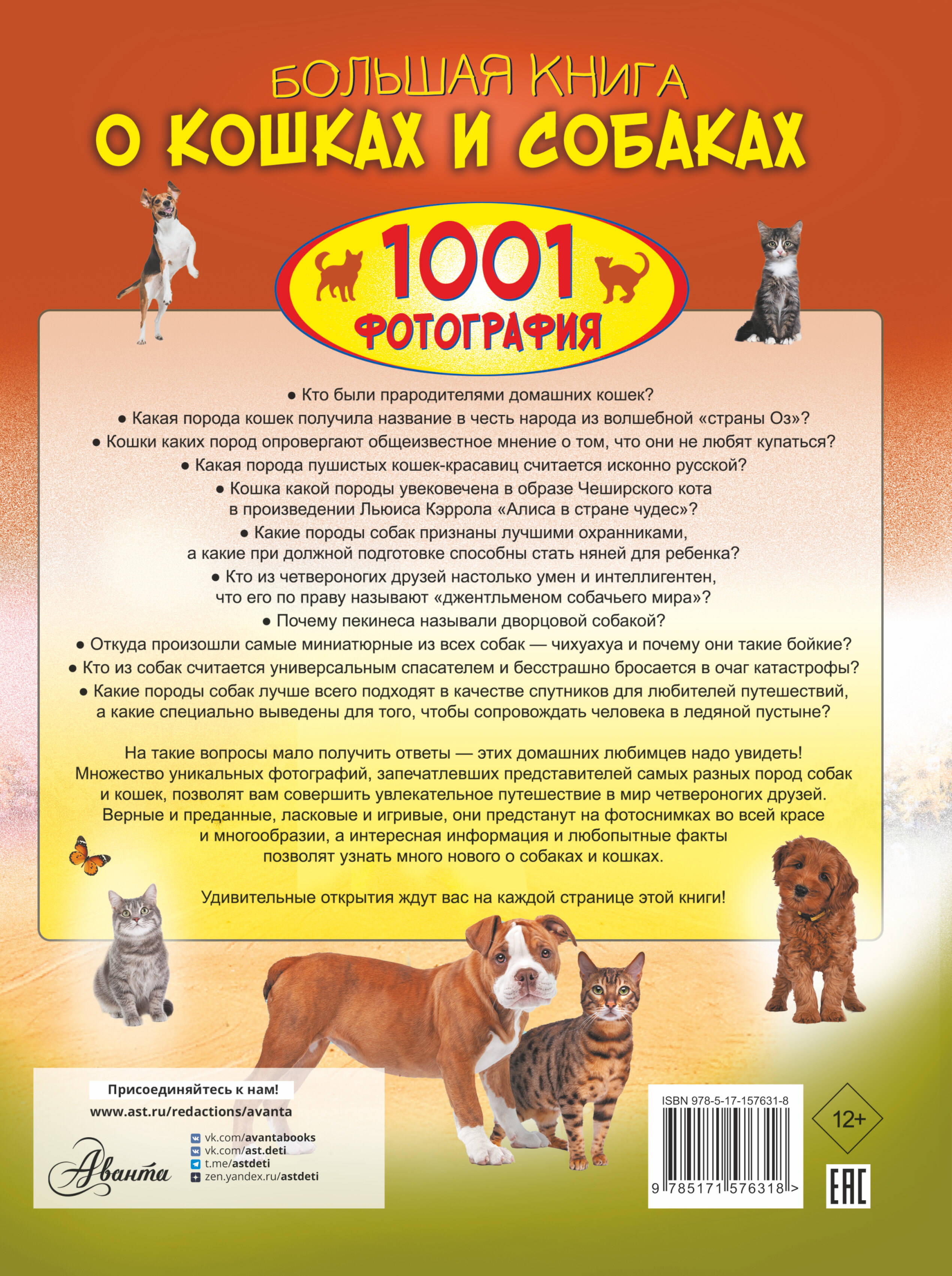 Книга АСТ Большая книга о кошках и собаках 1001 фотография - фото 3