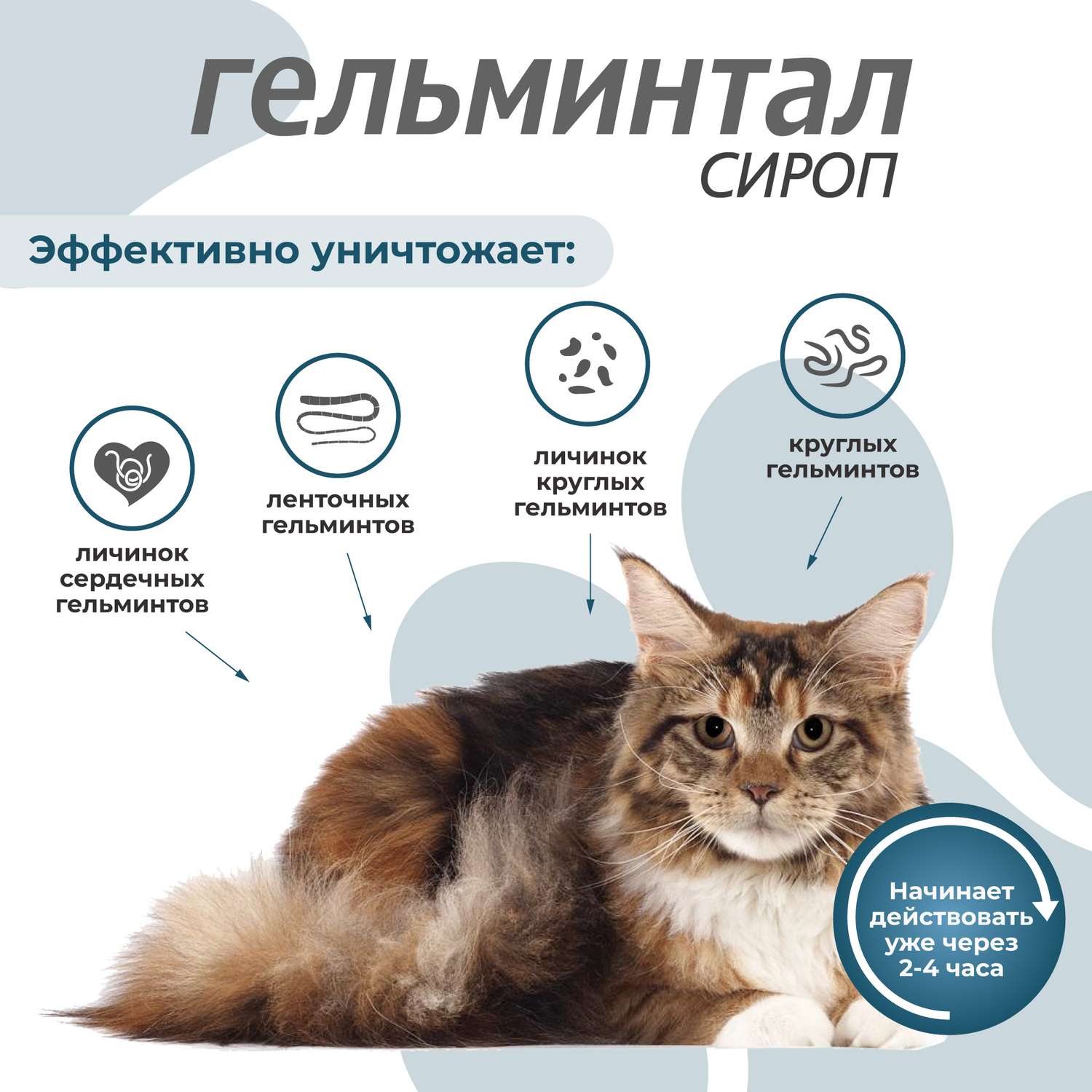 Сироп для кошек Гельминтал более 4кг от внутренних паразитов 5мл - фото 3