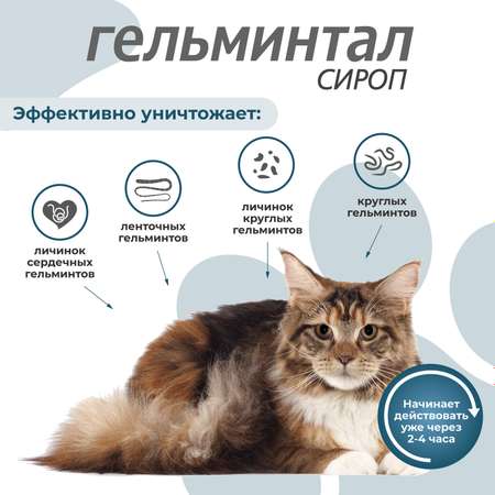 Сироп для кошек Гельминтал более 4кг от внутренних паразитов 5мл