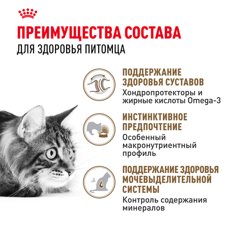 Корм для кошек ROYAL CANIN Ageing 85гр для пожилых 12+ желе соус пауч