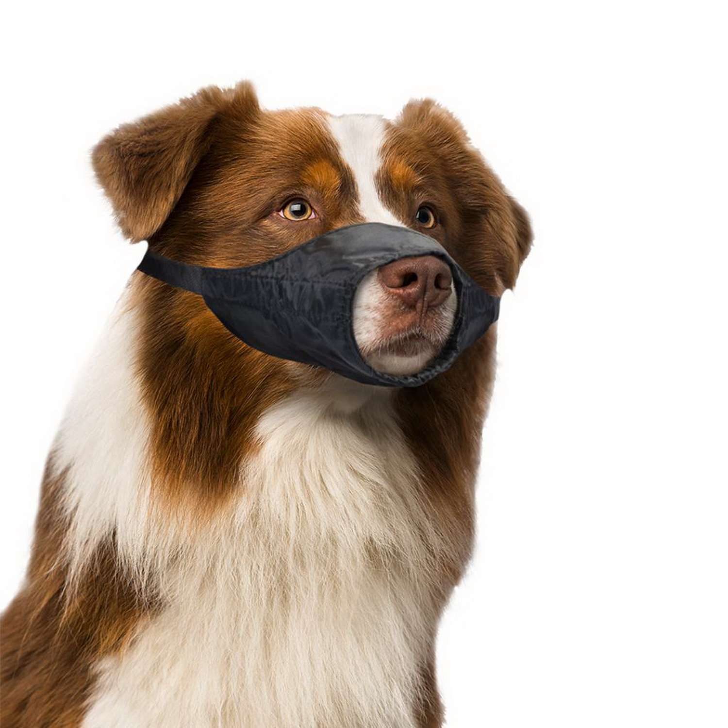 Намордник для собак DUVO+ Dog Muzzle - фото 2